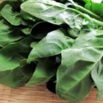 哺乳瓶の乳首を選ぶポイント