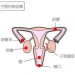 産後ダイエットは簡単？大変？